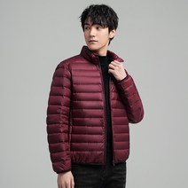 남성 겨울 아웃도어 방한 경량 패딩 숏 캐주얼 코트 하늘비즈 C11 N990D356