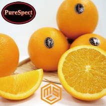 호주산 고당도 오렌지, 1box, 오렌지 대(230g) 10과