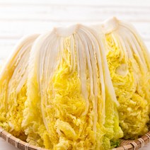 국산 절임배추 김장배추 양념세트 3kg 5kg 10kg 20kg 김장김치양념 김치속 김장 양념 양념속 절임, 1_2. 절임배추 5kg