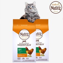 뉴트로내추럴초이스 캣 어덜트 오리지널 닭고기와 현미 2.27kg