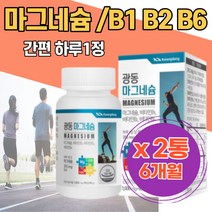 눈떨림 영양제 산화마그네슘 비타민B1 B2 B6 추천 주부 근육떨림 손발 다리 저림 입떨림 다리 저림 키즈 눈아래떨림 안면근육떨림 눈가떨림 마그네슘부족 왼쪽눈떨림 어르신 선물용