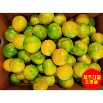 만보네귤 제주하우스감귤 조생귤 1.5KG 2.5KG 5KG 10KG, 만보네 2.5KG