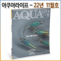 아쿠아라이프 월간지 2022년 11월호 메다카를 만든다