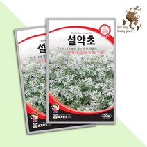 설악초 30립 세계종묘 화훼류 씨앗, 1개