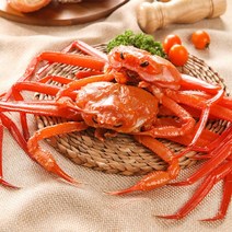 자연맛남 [산지직송]동해안 수율좋은 북방 홍게 20-25마리(고급형/수율70%), 1