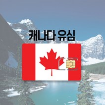캐나다 유심 LTE 완전무제한 하와이 미국 멕시코 티모바일 AT&T 여행 출장 유심칩, TELUS 매일 1GB, 7일