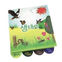 자연관찰 생태계탐구 활동카드 만들기 5인 과학 상상력 개체 학습용 교구 먹이그물