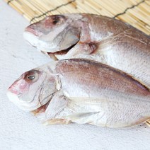 [친환경팔도][산지직송] 자연산 여수 반건조 참돔(대) 3미