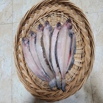 감포 울산 해풍반건조 참가자미 미주구리 납세미 수협가자미 24cm이상, 선택4,29cm-33cm 5미