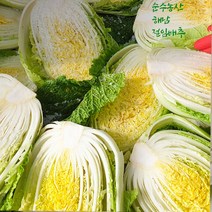 [순수농산] 23년 땅끝 해남 절임배추 20kg 김장배추 절인배추 파는곳 예약 월~금선택, 해남절임배추20kg, 11/09해남출발