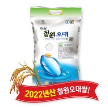 [당일도정] [동철원농협 직접운영] 2022년산 두루웰 철원오대쌀, 백미 4kg