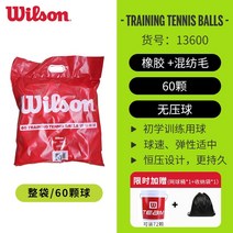 윌슨 Wilson 테니스공 트레이닝 연습구, 60개(바스킷+가방 포함)