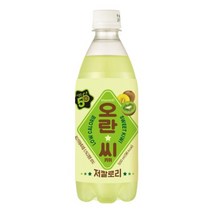 오란씨 키위 500mlx20펫