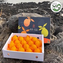제주 농장 한라봉 산지직송 3kg 5kg 제철 가정용 선물세트, 한라봉 5kg 선물용 (대/10~15과)