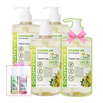 다이아린 트웬티케이 약산성 샴푸 500ml - EWG그린성분 99.25% 저자극 인증완료, 선택6)