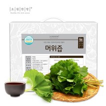 초원한방플러스 머위즙 120봉(2박스) 60포+60포, 120포, 120ml