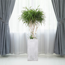 에코플랜트 관엽식물 개업축하화분 거실인테리어 화분배달[서울.경기 평일 당일배송(토요일 오후 일요일 주문건 월요일배송)] <지방배송불가 및 영종도 가평 강화도 배송불가>, 1개, 08. 자바 회색” class=”wr-img”></a></div></p></div></p></div></p></div><div class=