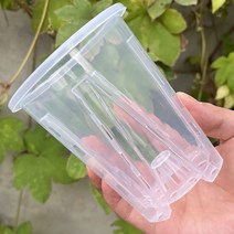롱 투명 슬릿화분 슬릿분 플라스틱 화분 플분, 화분