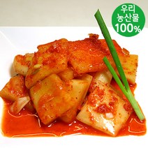 [담채원]학교급식납품업체 !국내산 김치들, 석박지 500g