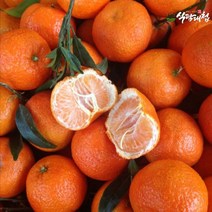 식탐대첩 불로초 프리미엄 감귤 1.5kg 로얄과 (22-29과), 없음
