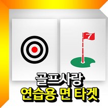 면타겟(중형) 골프타겟 골프연습용타겟 과녁 깃발-72394EA gian7978*6673465kJ, 깃발