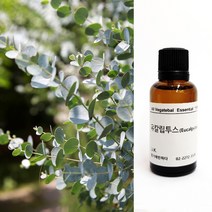 향기에반하다 유칼립투스 E.O 천연 아로마 에센셜 오일 30ml 50ml 100ml 비염 감기 기침 친환경 디퓨저 방향제 캔들 향료 화장품 비누만들기, 유칼립투스 천연 아로마 에센셜 오일 50ml