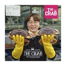 [더꽃게] 활 던지니스크랩 1마리 (700-800g), 상세 설명 참조