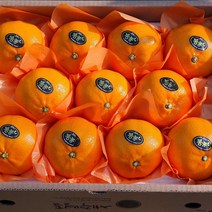 설명절과일선물 레드향 3kg 천혜향3kg 한라봉3kg(대과) 엣지있는 설명절과일선물, 레드향 3kg(9~12수 대과선물용)