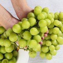 [나이스파머스] 프리미엄 고당도 김천 샤인머스켓 2kg(2~4수), 상세 설명 참조