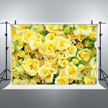 브라이덜샤워 파티룸 꾸미기 데코 소품 우아한 노란 장미 꽃 벽 비닐 사진 배경 결혼식, 비닐 150x100cm