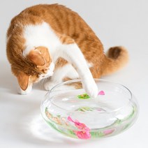 묘심견심 캣 물고기 수족관 로봇 물고기 불빛 고양이물고기장난감 4마리 색상랜덤