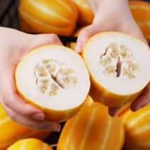 성주 꿀참외 선물용 가정용 2kg (12개 내외), 가정용 꼬마과(2kg), 12개