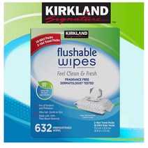 커클랜드 물티슈 632장 (60입 10팩+16개입) Kirkland Signature Moist Flushable Wipes 632 Wipes