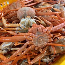 구룡포 자숙 홍게 연지홍게 1.5kg~3kg 구룡포홍게 포항홍게 박달홍게 자숙 연지 홍게 배달 포항 연지 홍게 택배 라면용홍게 육수용홍게, 자숙 연지홍게, 3kg 10~13미 고급
