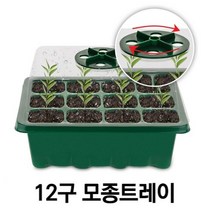 씨앗키우기 12구 모종트레이 모종판 씨앗발아 모종키우기 콩나물 상추 파종 미니 새싹키우기, 그린