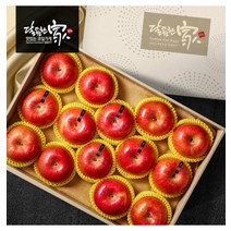 푸드진정성/당도선별 청송사과 선물세트(대과 5KG 17-19과)/롯데백화점