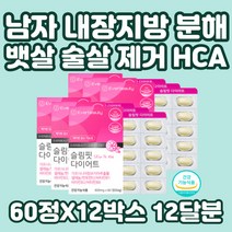 건강한 다이어트 보조제 가르시니아 캄보지아 지방 억제 셀레늄 판토텐산 비타민B6 40대 50대 중년 턱살 뱃살 팔뚝살 단기간 남자 체지방 분해 감소 HCA 가르니시아 가르시아