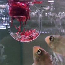 구피 피딩컵 열대어 먹이통 아크릴