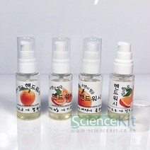 오렌지 항균 핸드워시 만들기(4인용) RKT