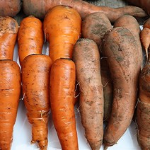 무농약당근 흙당근 3kg 제주당근, 제주 당근 중 3kg