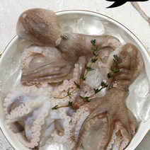 국산 서해안 산지직송 생물 활 쭈꾸미 알쭈꾸미 1kg 냉동 주꾸미 1kg, 1. 생물 쭈꾸미 1kg, 1개