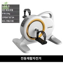미니 자전거 싸이클 스텝퍼 실내 전동, D타입 화이트 전동식 속도조절 발싸개 한쌍 (전동식)