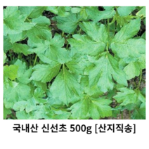 국내산 신선초 500g 1kg 2kg 산지직송 주스용 샐러드용 녹즙용 녹즙재료 녹즙채소 클랜즈 주스 샐러드 신선한 싱싱한 자연 나물 잎 나물반찬