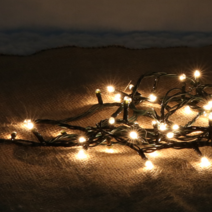 백열미니전구 30구 녹색선 트리전구 크리스마스전구 일루미네이션 백열전구 방꾸미기 낭만적인 클래식전구 세련된 라이팅 크리스마스장식 파티소품 원포인트데코 인테리어조명 경제적 트리소품 트리전구 트리꾸미기, 클리어(투명)