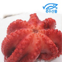 e수산물 제수용 자숙문어 데친문어 필리핀 제사용문어 삶은문어 통한마리 제수용품, 자숙문어900g~1kg
