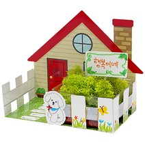 공기청정 스칸디아모스정원(5인용)