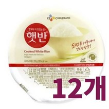 CJ 제일제당 햇반백미 40개(200g x40개) 임금님표으뜸쌀 햇반 200g, 12개