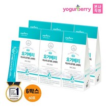 요거베리 카스피 요거트 스타터 6박스 요거트만들기 요거트파우, 2g, 60개