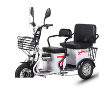 유아동승 3인용전기자전거 농촌 삼발이 오토바이, 상세 페이지 참고, 고급형 배터리충전기 불포함 48V