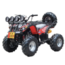 125cc 4륜오토바이 ATV 오프로드 전기 사발이 버기카 농촌 사륜, 리틀 불 패키지 4